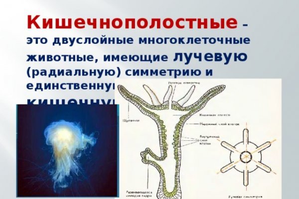 Кракен ссылка список