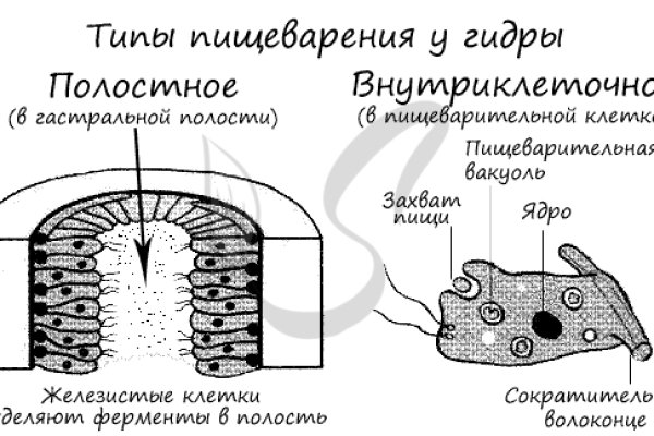 Кракен маркетплейс откуда взялся