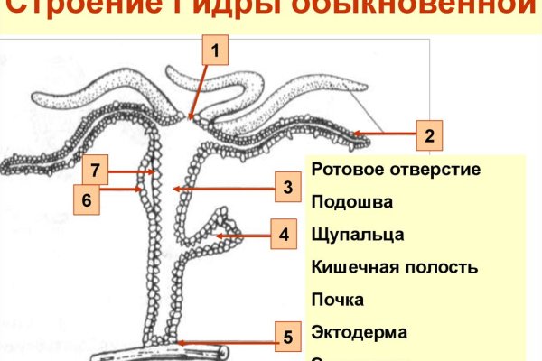 Кракен зеркало onion