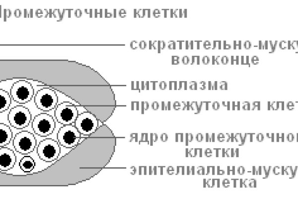 Kraken ссылка тор 2krnk biz kraken17ate pro