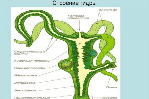 Как восстановить страницу на кракене